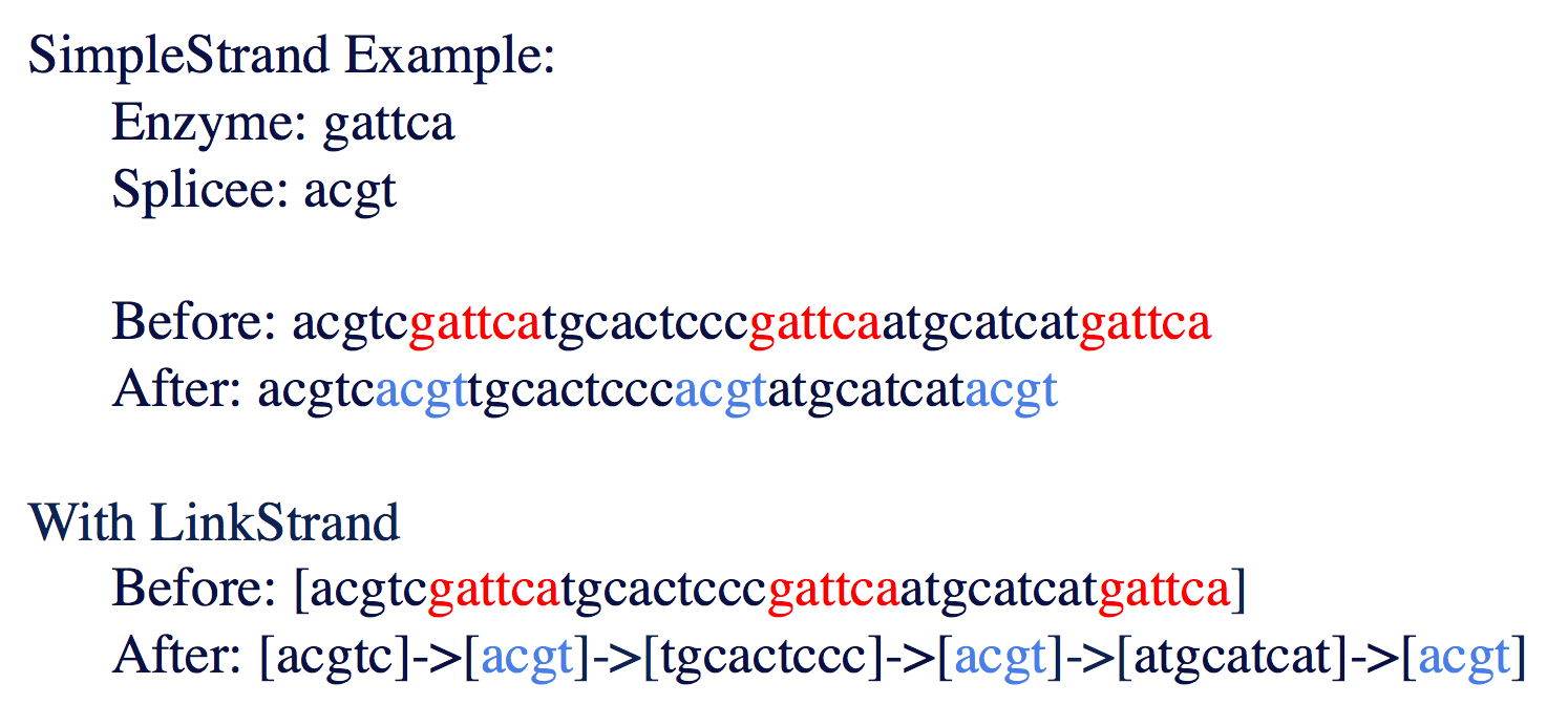 DNA example