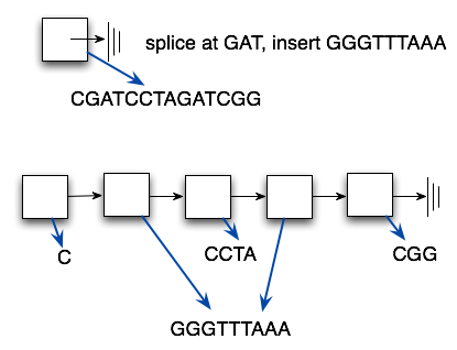 Splice