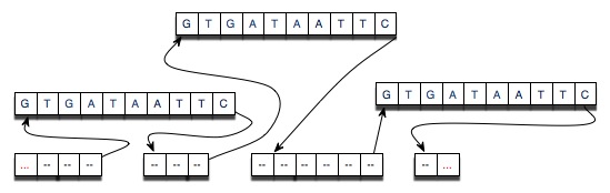 Node